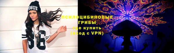 эйфоретик Арсеньев