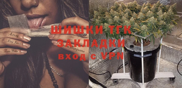эйфоретик Арсеньев